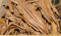 Oud