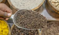 Spices