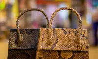 Ladies Bags