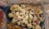 Dry Fruits